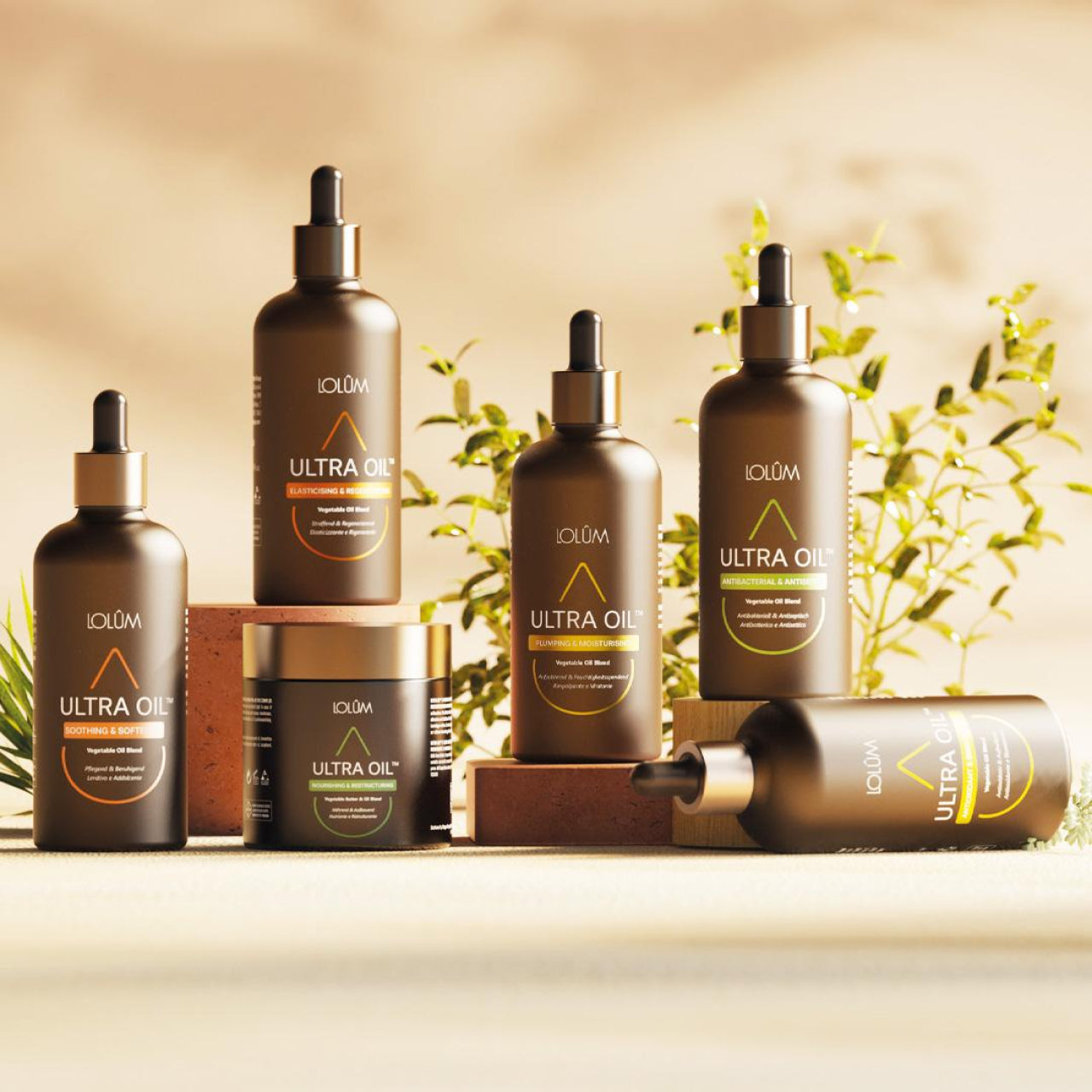 Vegetable Oil Blend Set