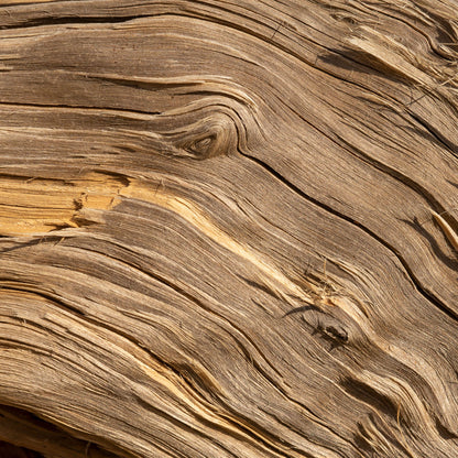 Scarlet Flame - Unisex Luxury Perfume No. 146U 50 ml | With 30% essence